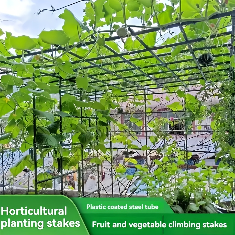 Vine Climbing Plastic - Pop Rustproof Vegetable Climbing Frame Kit