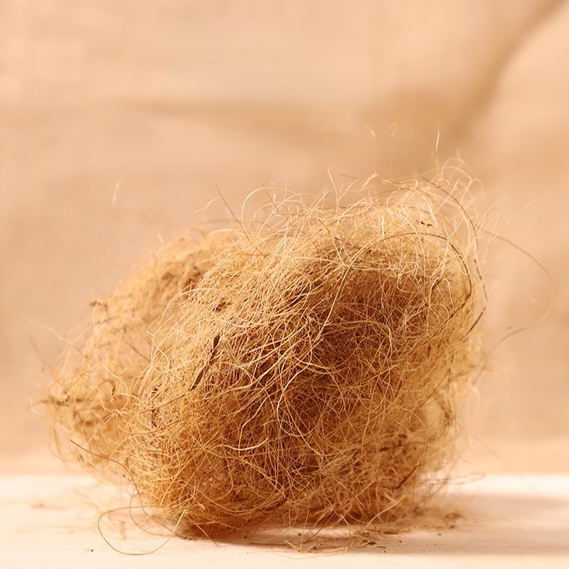 Substrate Coconut Fiber - 100g Finch Coconut Fiber Loose Bedding