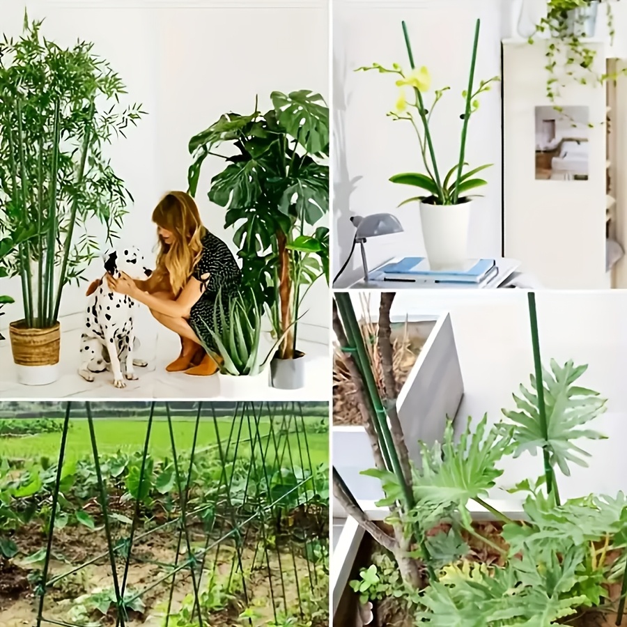 Pop Rustproof Vegetable Climbi - Vine Climbing Plastic ulasan dan harga