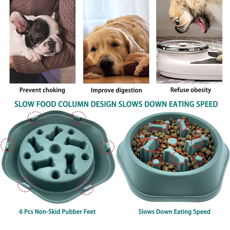 New Slow Feeder Dog Bowl Anti- - Royal Canin Food Medium ulasan dan harga