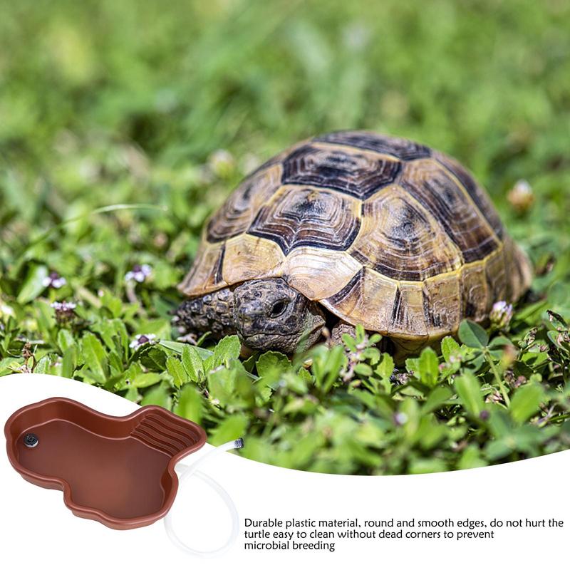 Turtle Feeding Dish Reptile Ba - Water Dish Reptile ulasan dan harga