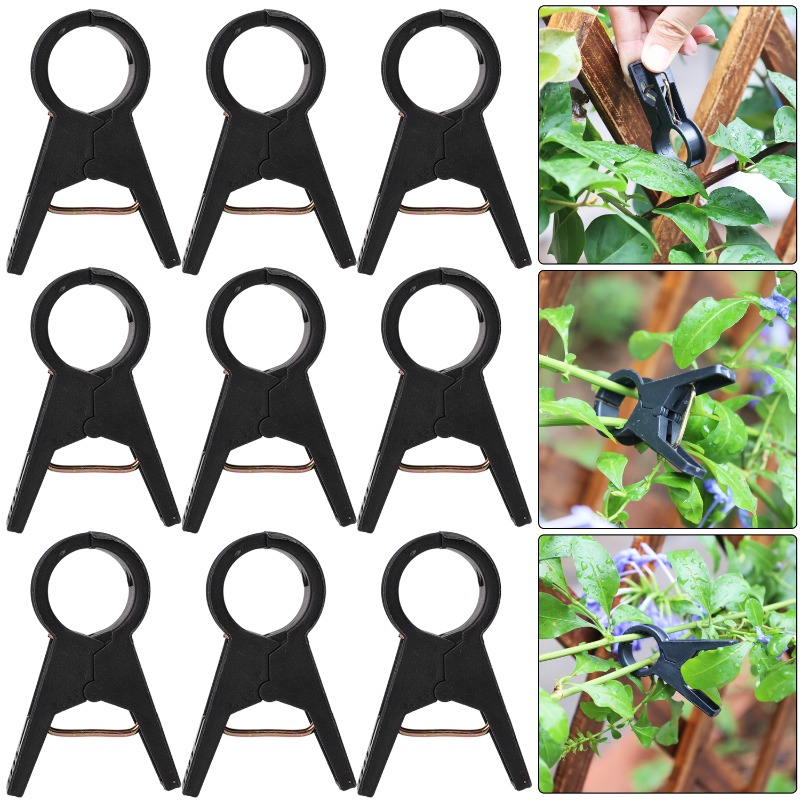 Newly 100/10pcs Plant Support  - Vine Climbing Plastic ulasan dan harga