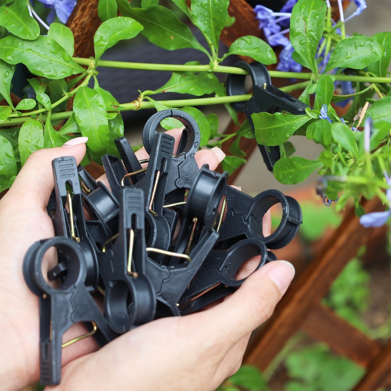 Newly 100/10pcs Plant Support  - Vine Climbing Plastic ulasan dan harga