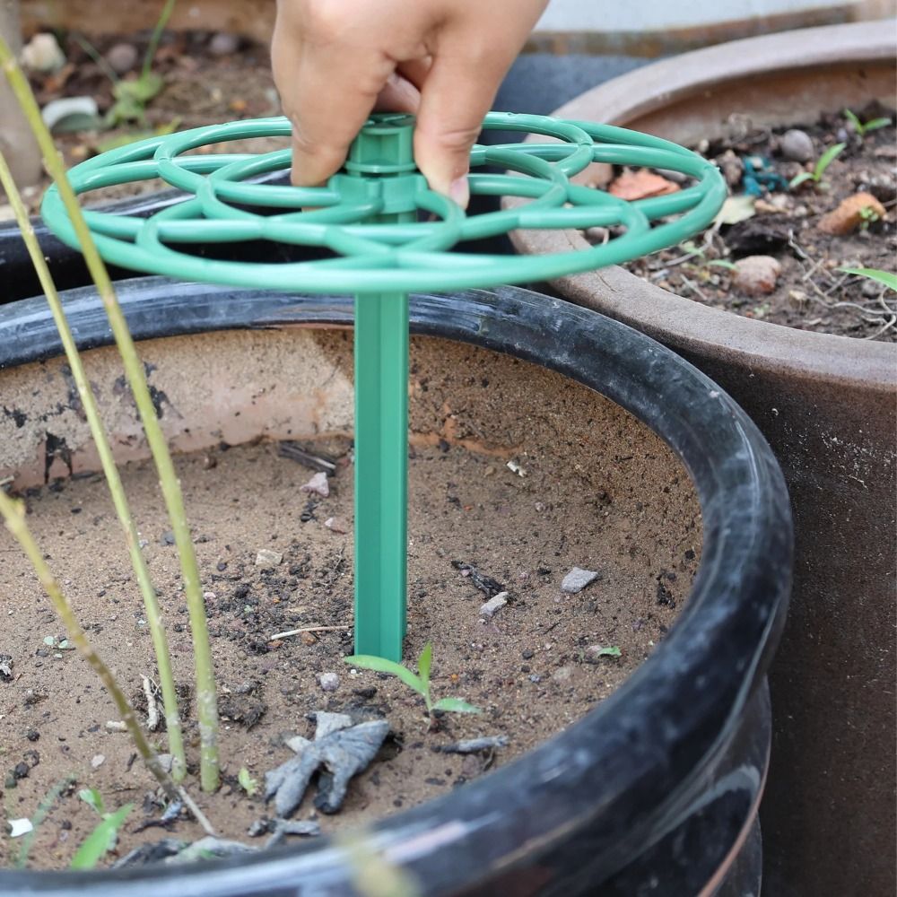S/M/L Plastic Garden Stackable - Vine Climbing Plastic ulasan dan harga