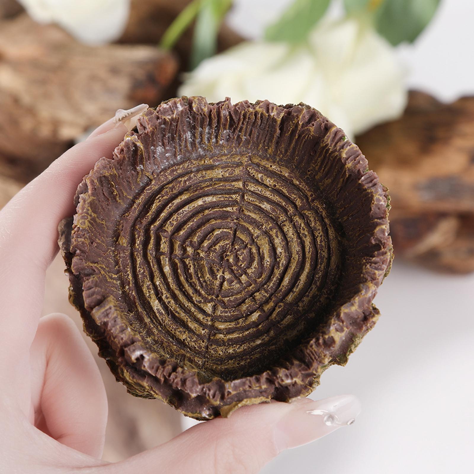 Reptile Bathing Dish Tortoise  - Water Dish Reptile ulasan dan harga
