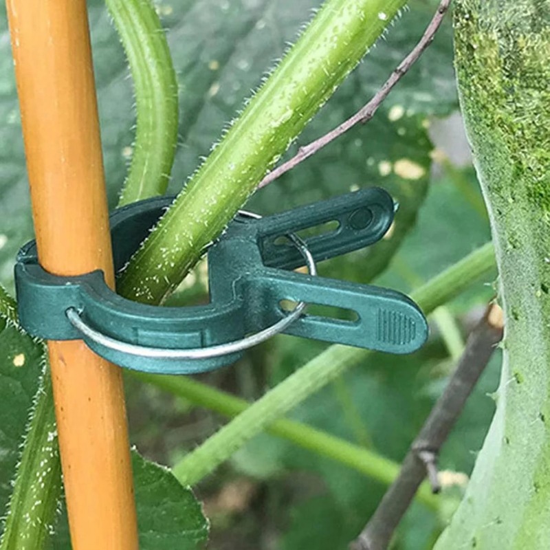 Plant Fixed Clips Reusable Gar - Vine Climbing Plastic ulasan dan harga