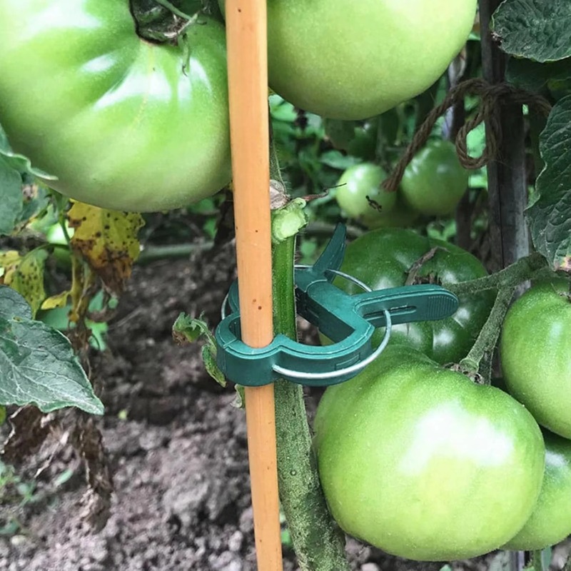 Plant Fixed Clips Reusable Gar - Vine Climbing Plastic ulasan dan harga