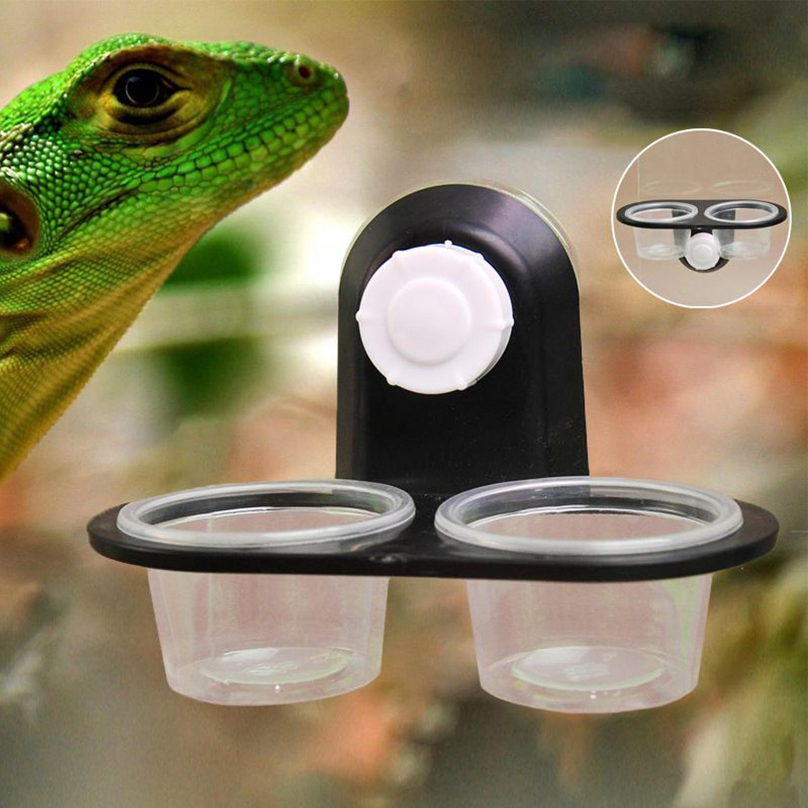 Gecko Food Dish Gecko Water Di - Water Dish Reptile ulasan dan harga