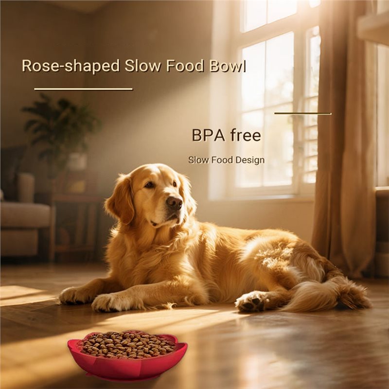 A11E-Pet Supplies Silicone Slo - Royal Canin Food Medium ulasan dan harga