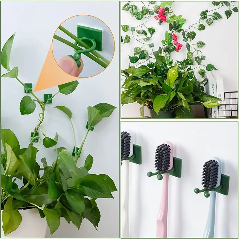1/30/50Pcs For Garden Accsesor - Vine Climbing Plastic ulasan dan harga