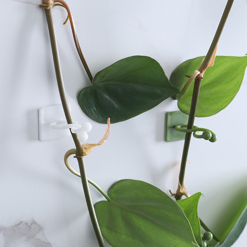 100pcs-Home Garden Plant Climb - Vine Climbing Plastic ulasan dan harga