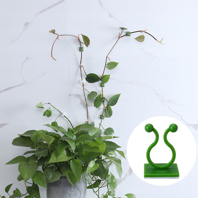 100pcs-Home Garden Plant Climb - Vine Climbing Plastic ulasan dan harga