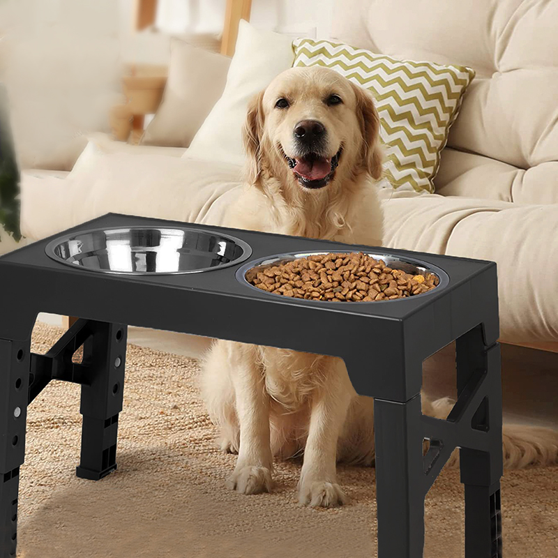 BOOTEELY Elevated Dog Feeder B - Royal Canin Food Medium ulasan dan harga