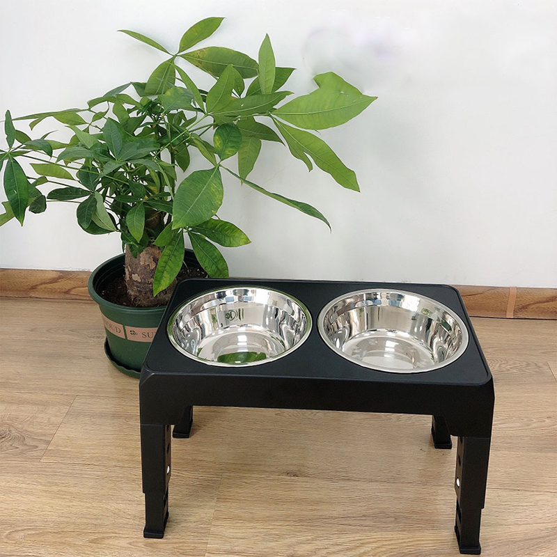 BOOTEELY Elevated Dog Feeder B - Royal Canin Food Medium ulasan dan harga