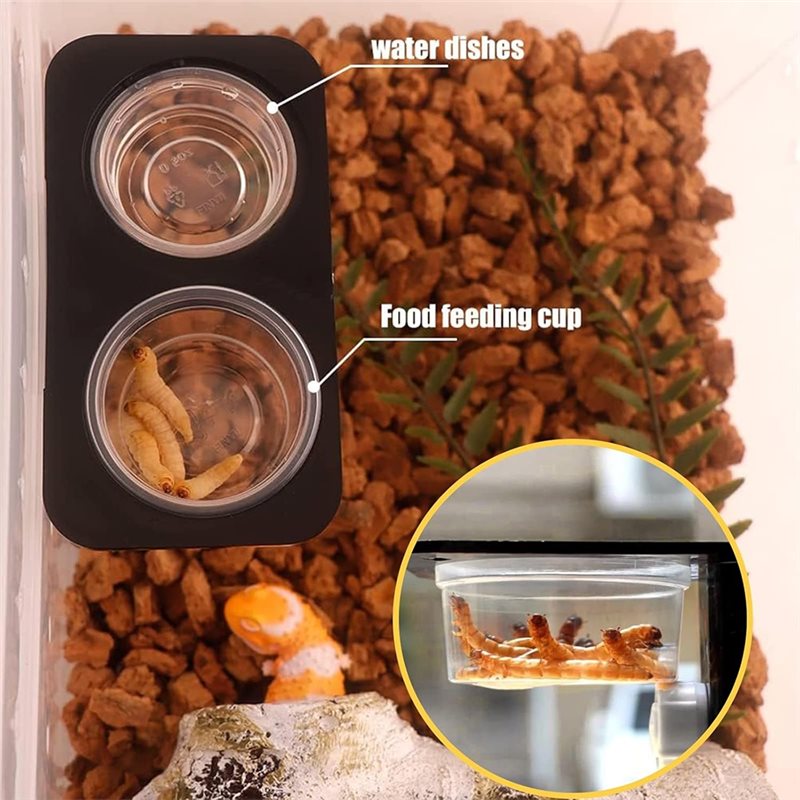 Crested Gecko Food And Water F - Water Dish Reptile ulasan dan harga