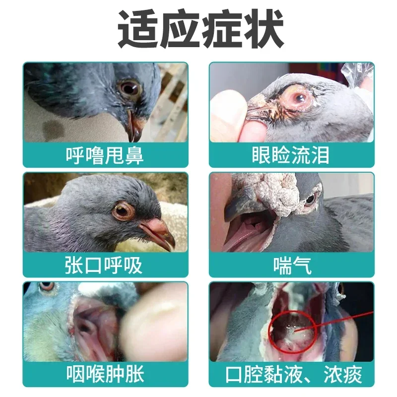 Parrots Meat Pigeons Chicken D - Vitamin D3 Reptile ulasan dan harga